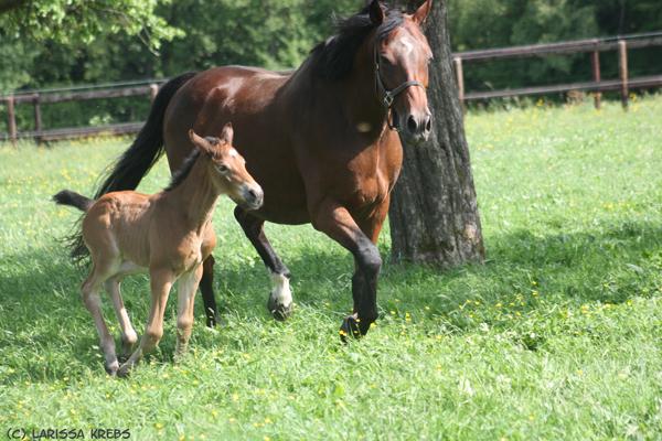 [Photo] Nanny mit Mama 3 Tage alt